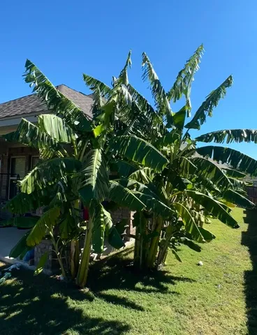 $2,600 | 2969 Diego Drive, Round Rock, TX 78665