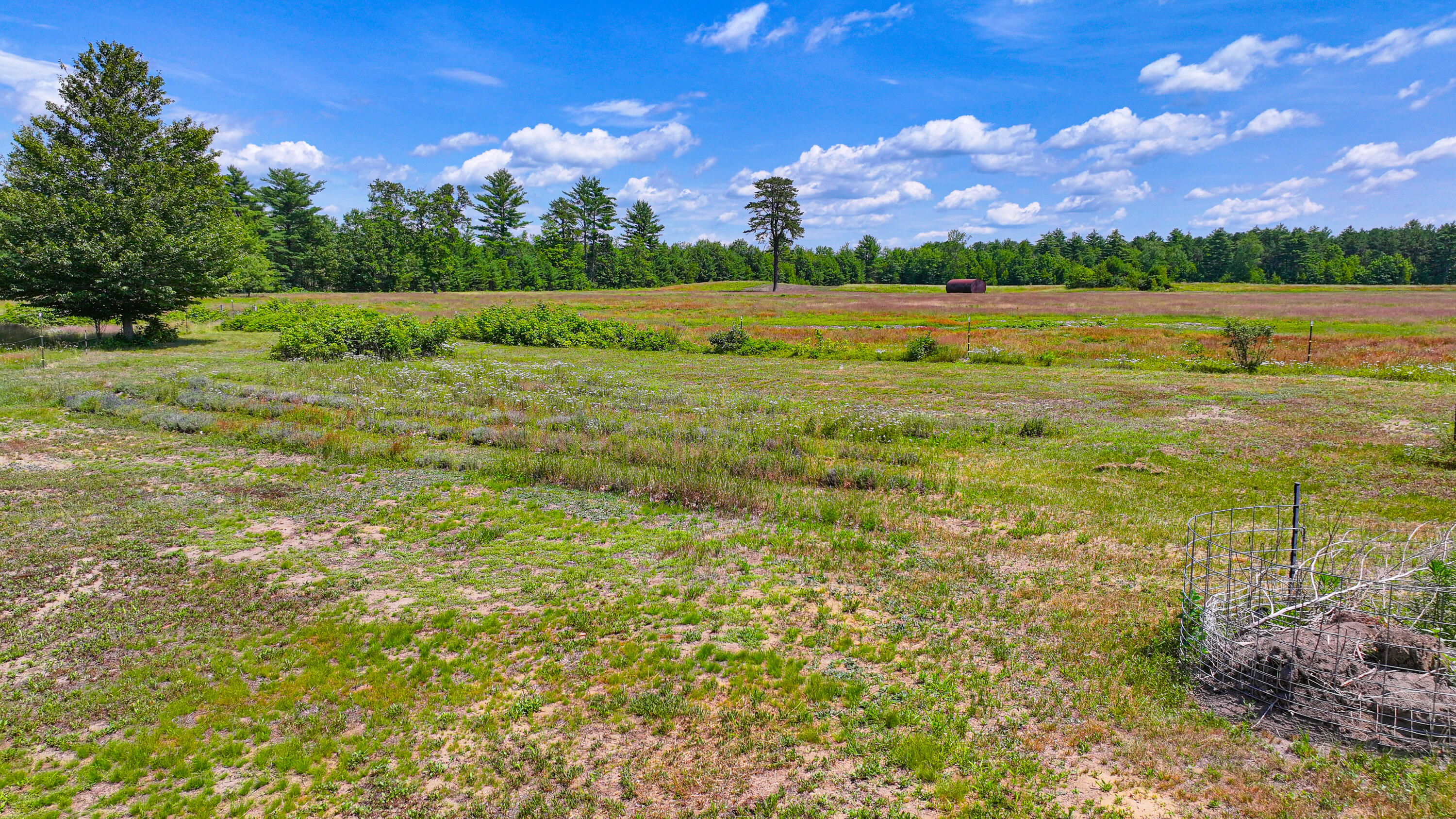 69 Skeetfield Road Oxford, ME 04270 - Photo 11 of 61 Backyard