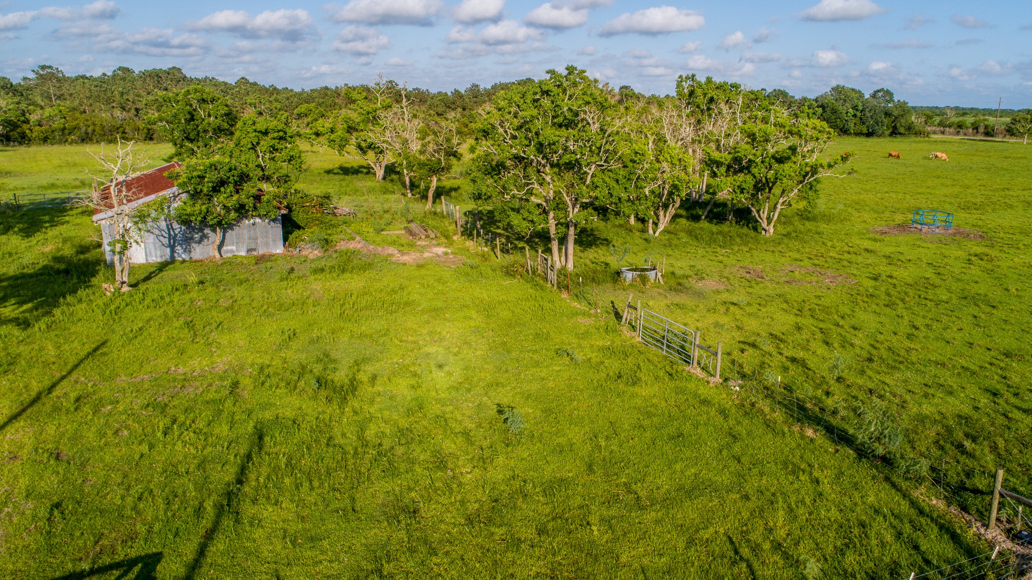 Tbd Eagle Road Anahuac, TX 77514 - Photo 5 of 9 a view of an outdoor space and a yard