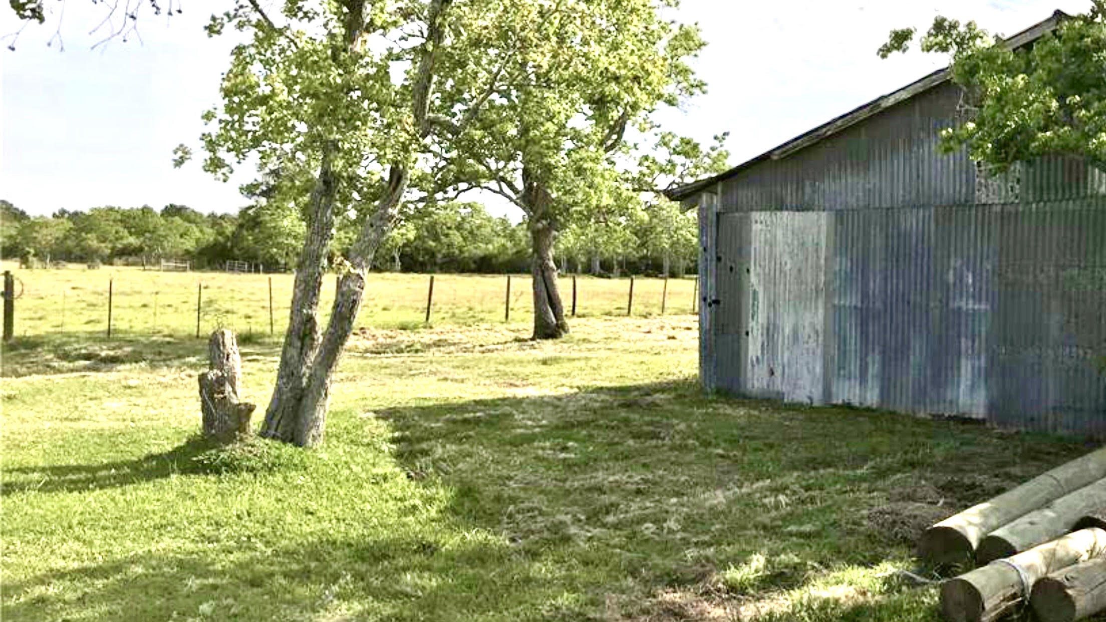 Tbd Eagle Road Anahuac, TX 77514 - Photo 9 of 9 a view of a yard with an outdoor space