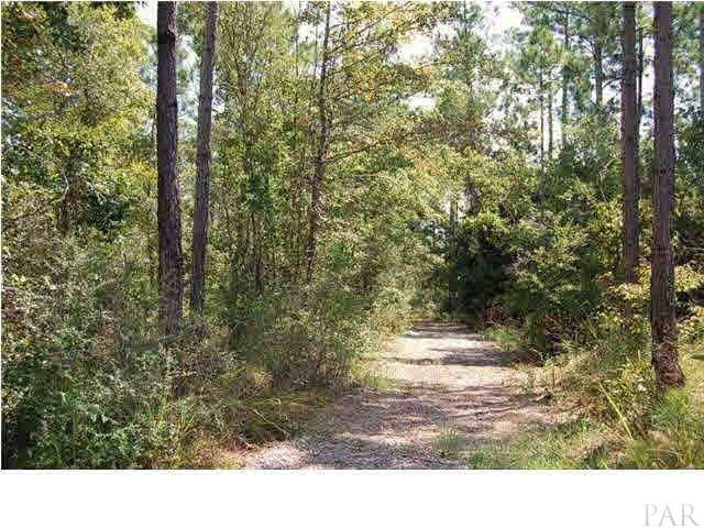 1847 Pearson Road Milton, FL 32583 - Photo 19 of 23 You very own private gravel road that leads to the water