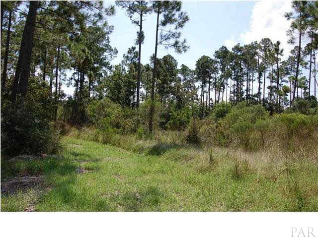 1847 Pearson Road Milton, FL 32583 - Photo 22 of 23 Acres of privacy