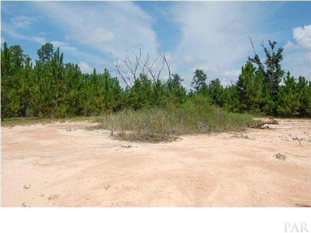 1847 Pearson Road Milton, FL 32583 - Photo 23 of 23 Future building site if desired