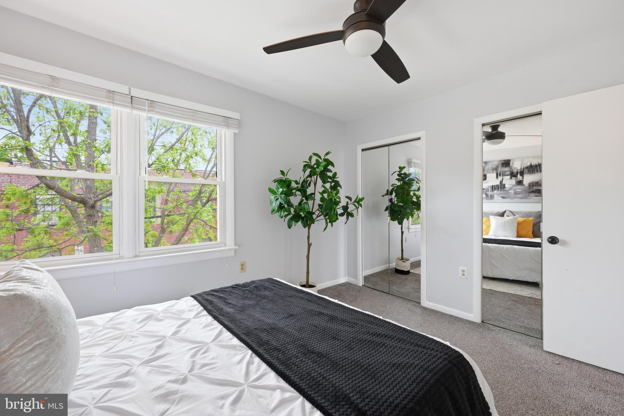 3534 6th Street Northwest Washington, DC 20010 - Photo 17 of 25 a bedroom with a bed and a potted plant