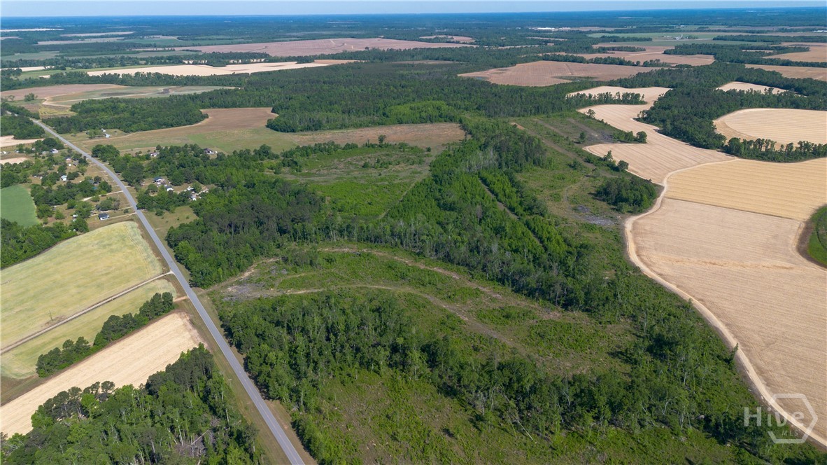 0 Scott Store Road Millen, GA 30442 - Photo 7 of 12