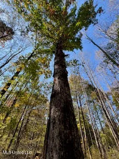 $449,000 | Perry Chapel Road, Ashland, MS 38603