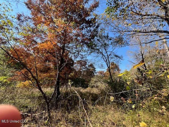 $449,000 | Perry Chapel Road, Ashland, MS 38603