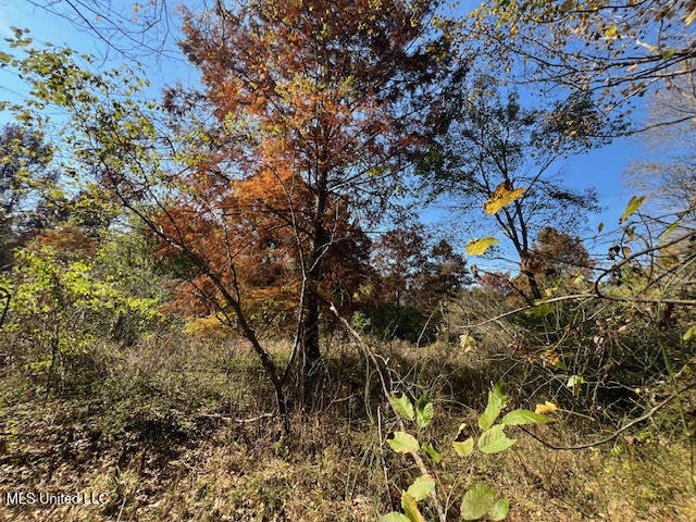 Perry Chapel Road Ashland, MS 38603 - Photo 13 of 27 unnamed (4)