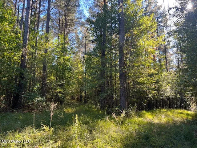 $449,000 | Perry Chapel Road, Ashland, MS 38603