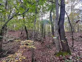 $449,000 | Perry Chapel Road, Ashland, MS 38603