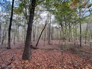 $449,000 | Perry Chapel Road, Ashland, MS 38603