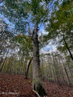$399,000 | Perry Chapel Road, Ashland, MS 38603