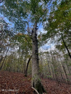Perry Chapel Road Ashland, MS 38603 - Photo 2 of 27 98 AC. PERRY CHAPEL RD.