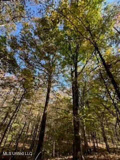 $399,000 | Perry Chapel Road, Ashland, MS 38603
