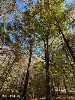 Perry Chapel Road Ashland, MS 38603 - Photo 22 of 27 unnamed (14)