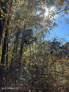 Perry Chapel Road Ashland, MS 38603 - Photo 23 of 27 unnamed (16)