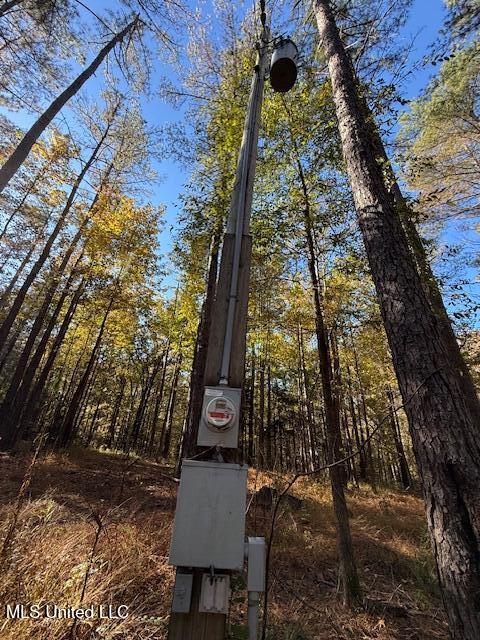 Perry Chapel Road Ashland, MS 38603 - Photo 3 of 27 IMG_2694