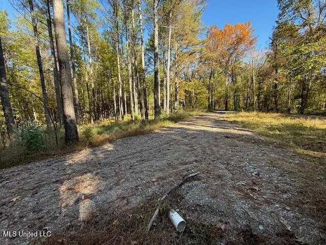 $449,000 | Perry Chapel Road, Ashland, MS 38603