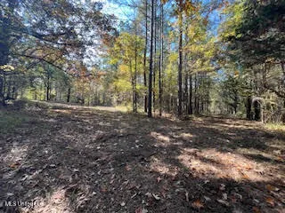 $449,000 | Perry Chapel Road, Ashland, MS 38603
