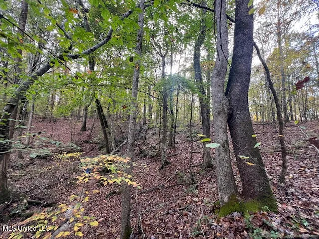 $449,000 | Perry Chapel Road, Ashland, MS 38603