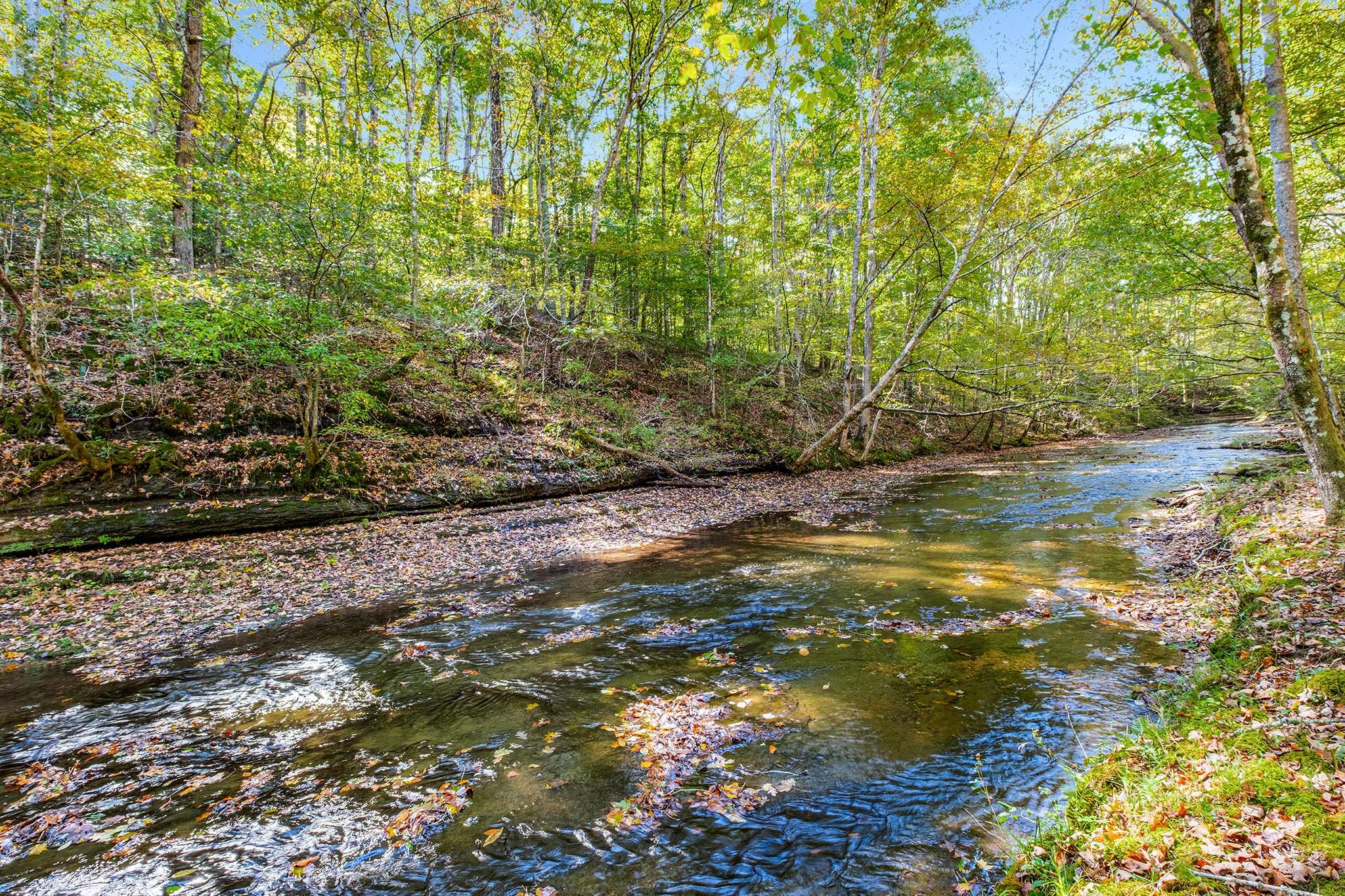 7909 Shoals Branch Road Primm Springs, TN 38476 - Photo 78 of 88 Gallery Image 78