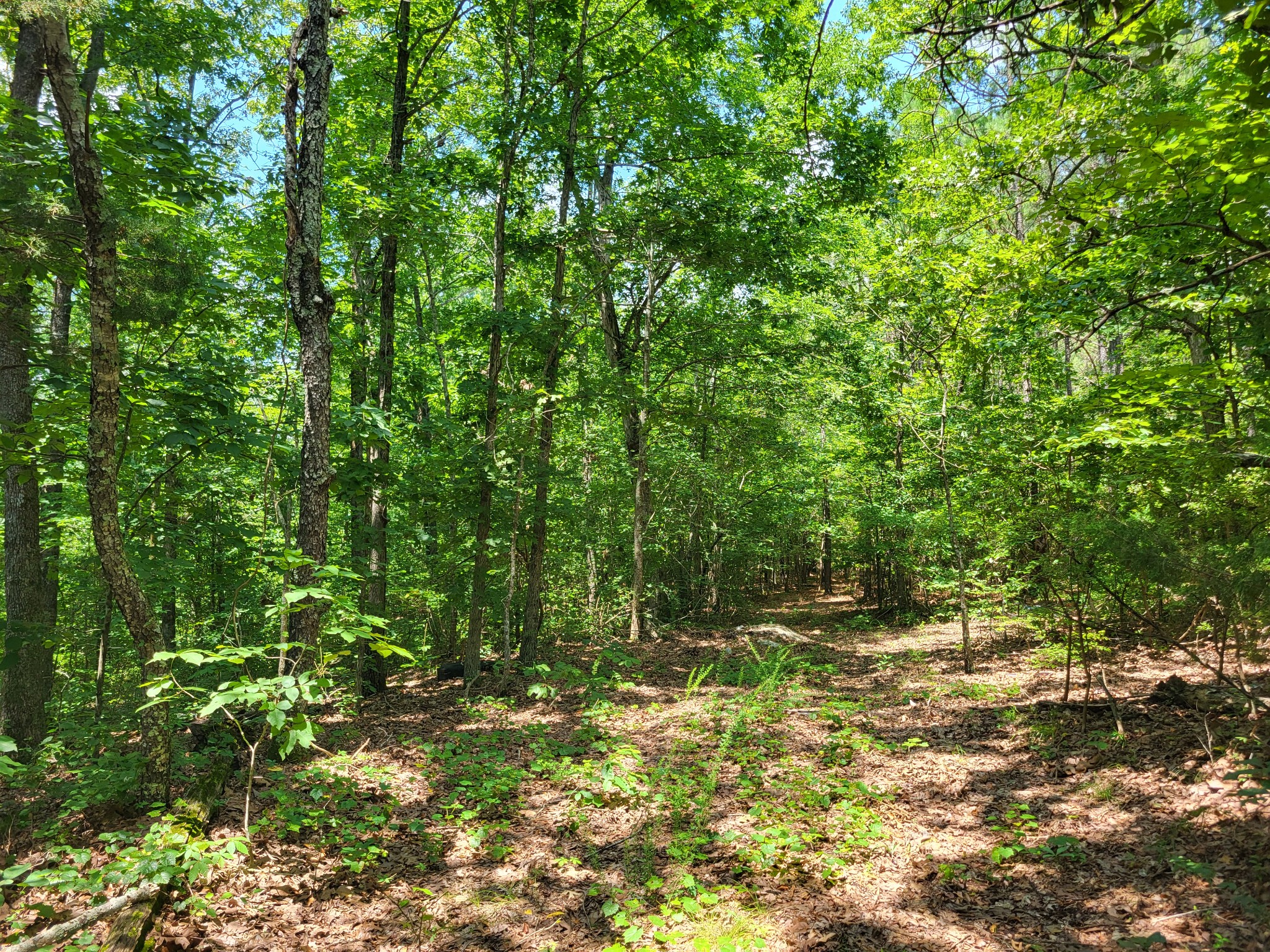 8 Birdsong Road Holladay, TN 38341 - Photo 4 of 5 a view of outdoor space with deck and yard