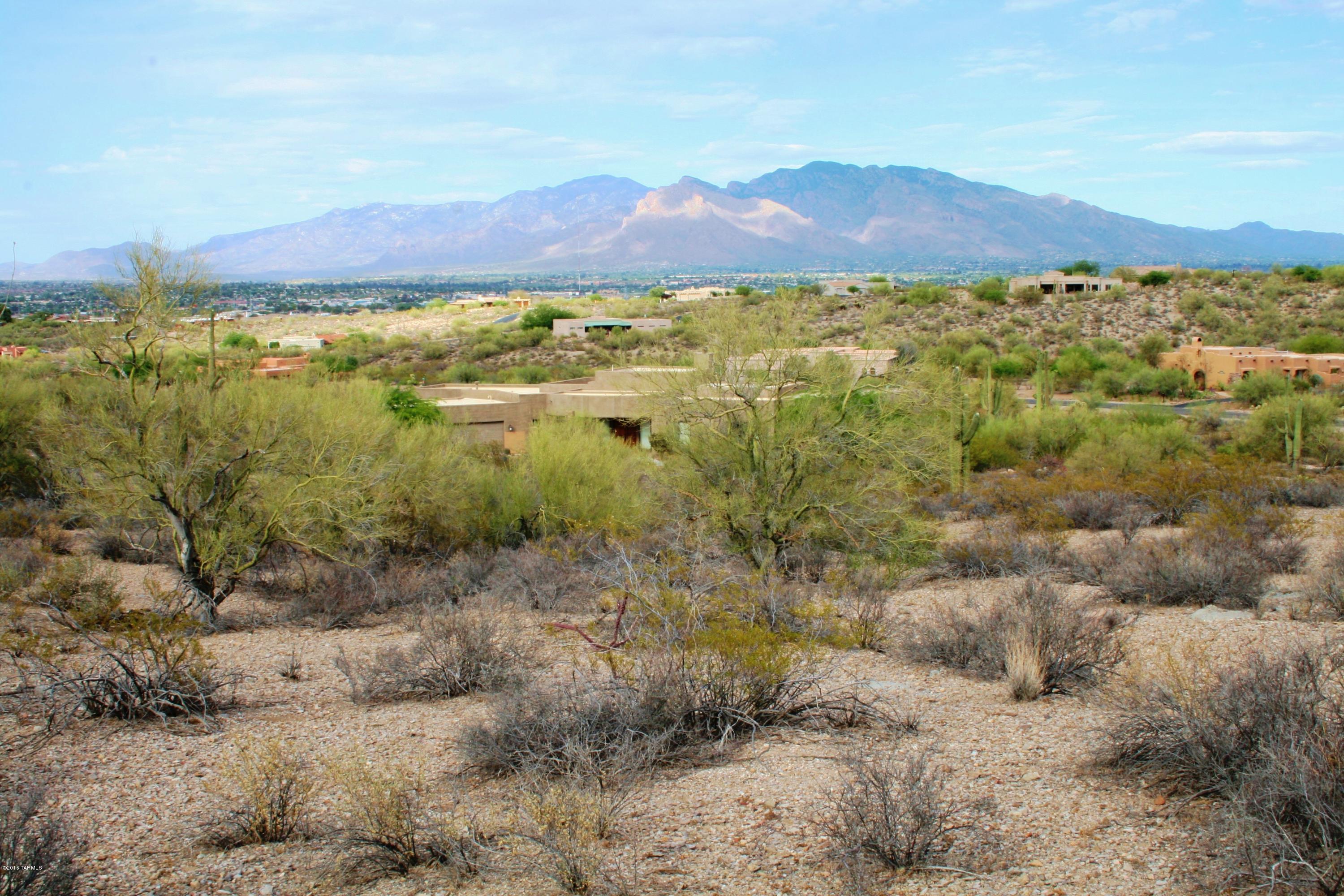 6075 North Abington Road, Unit LOT 4 Tucson, AZ 85743 - Photo 8 of 31