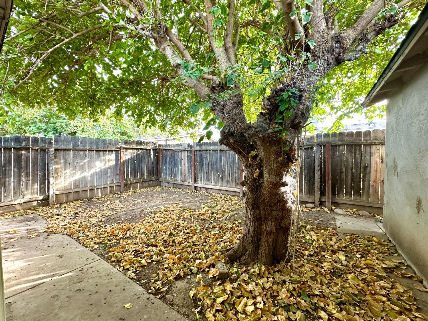 922 E Street Reedley, CA 93654 - Photo 24 of 24