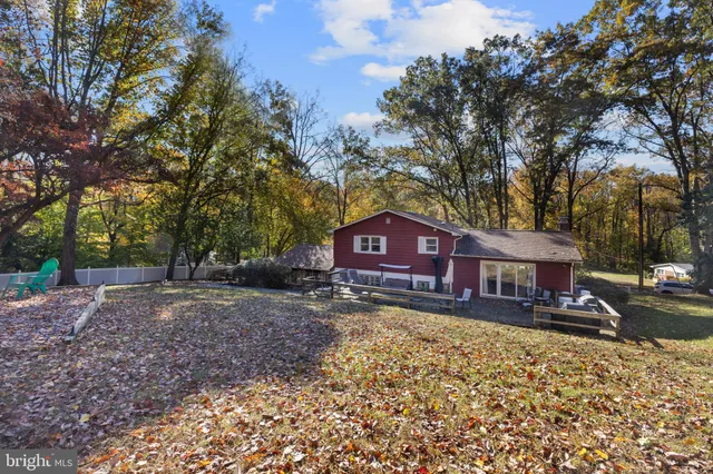 a view of a flower in a garden