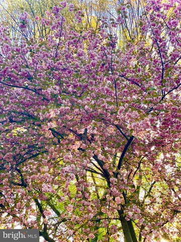 $654,000 | 983 Wayside Drive, Crownsville, MD 21032