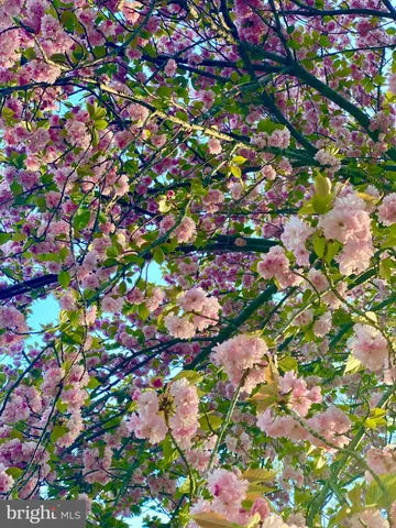 $654,000 | 983 Wayside Drive, Crownsville, MD 21032