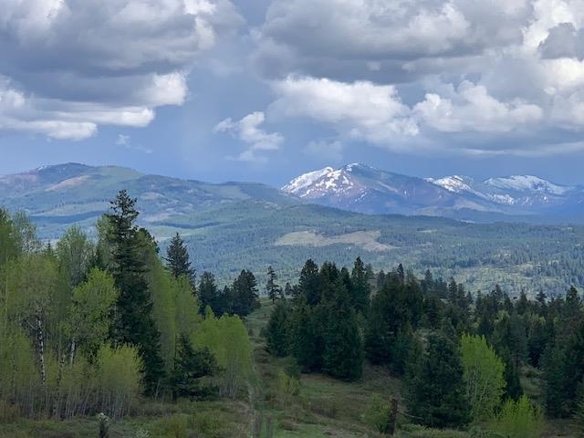 354 Vulcan Mountain Road Curlew, WA 99118 - Photo 4 of 50