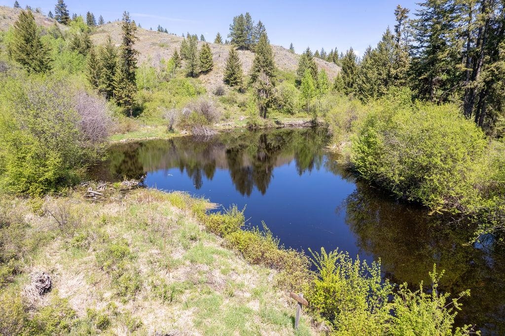 354 Vulcan Mountain Road Curlew, WA 99118 - Photo 44 of 50