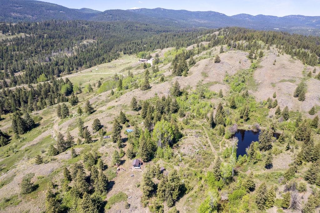 354 Vulcan Mountain Road Curlew, WA 99118 - Photo 50 of 50