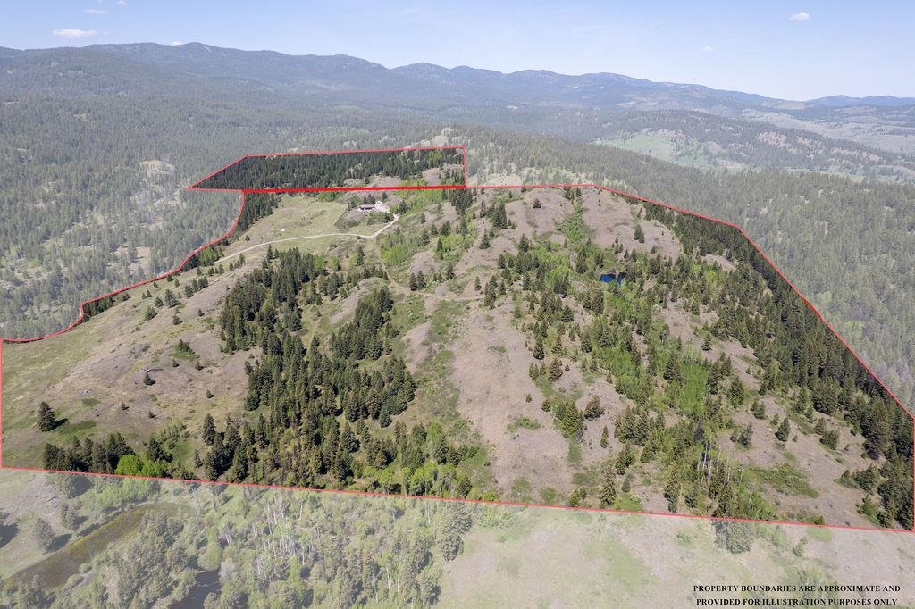 354 Vulcan Mountain Road Curlew, WA 99118 - Photo 5 of 50