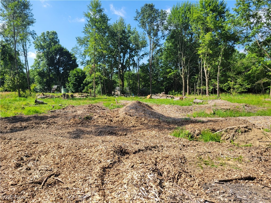 460 East Caston Road Akron, OH 44319 - Photo 2 of 7 View of nature