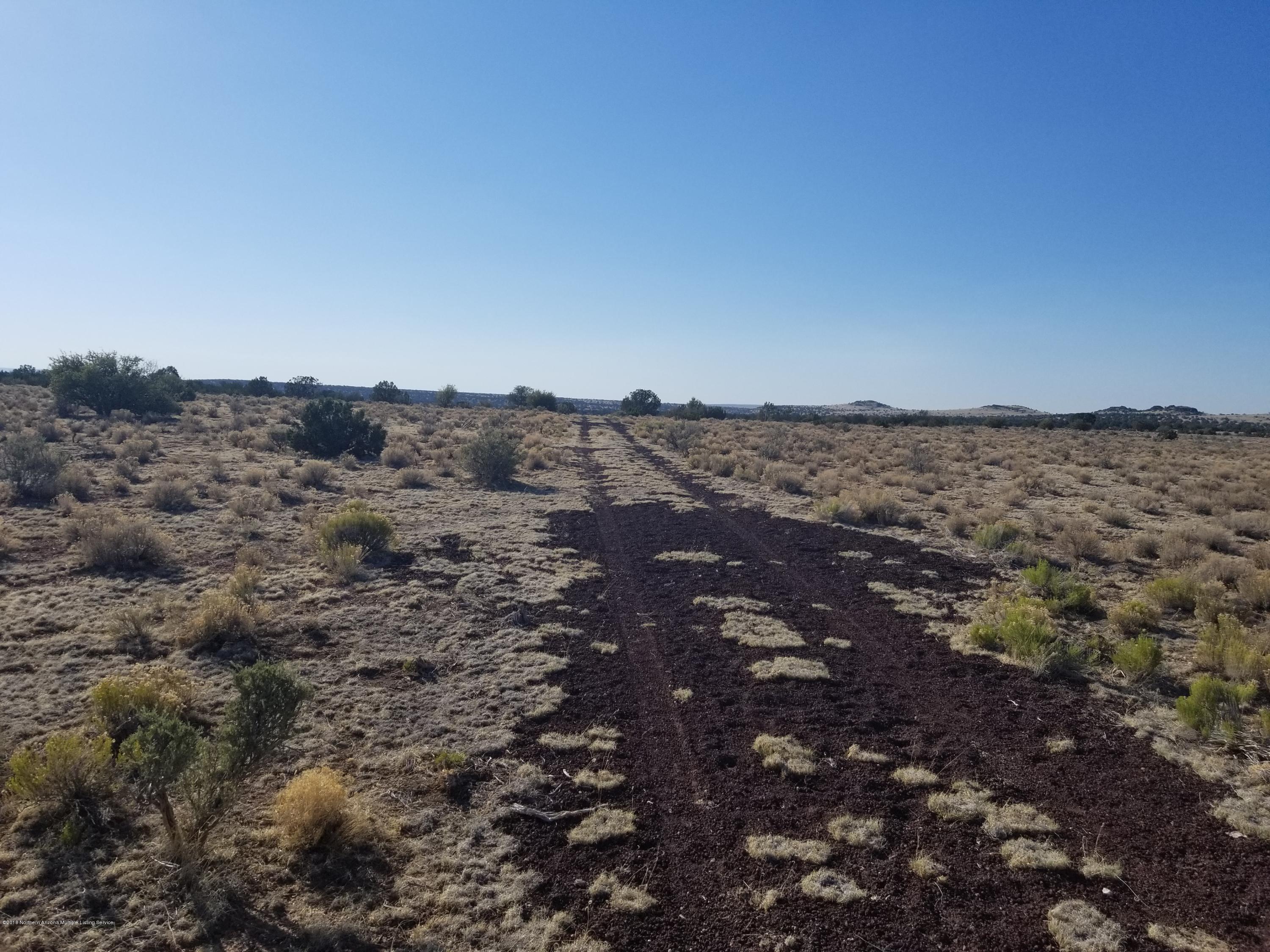 6469 South Rising Sun Road Williams, AZ 86046 - Photo 4 of 10 Cinder Road On Parcel