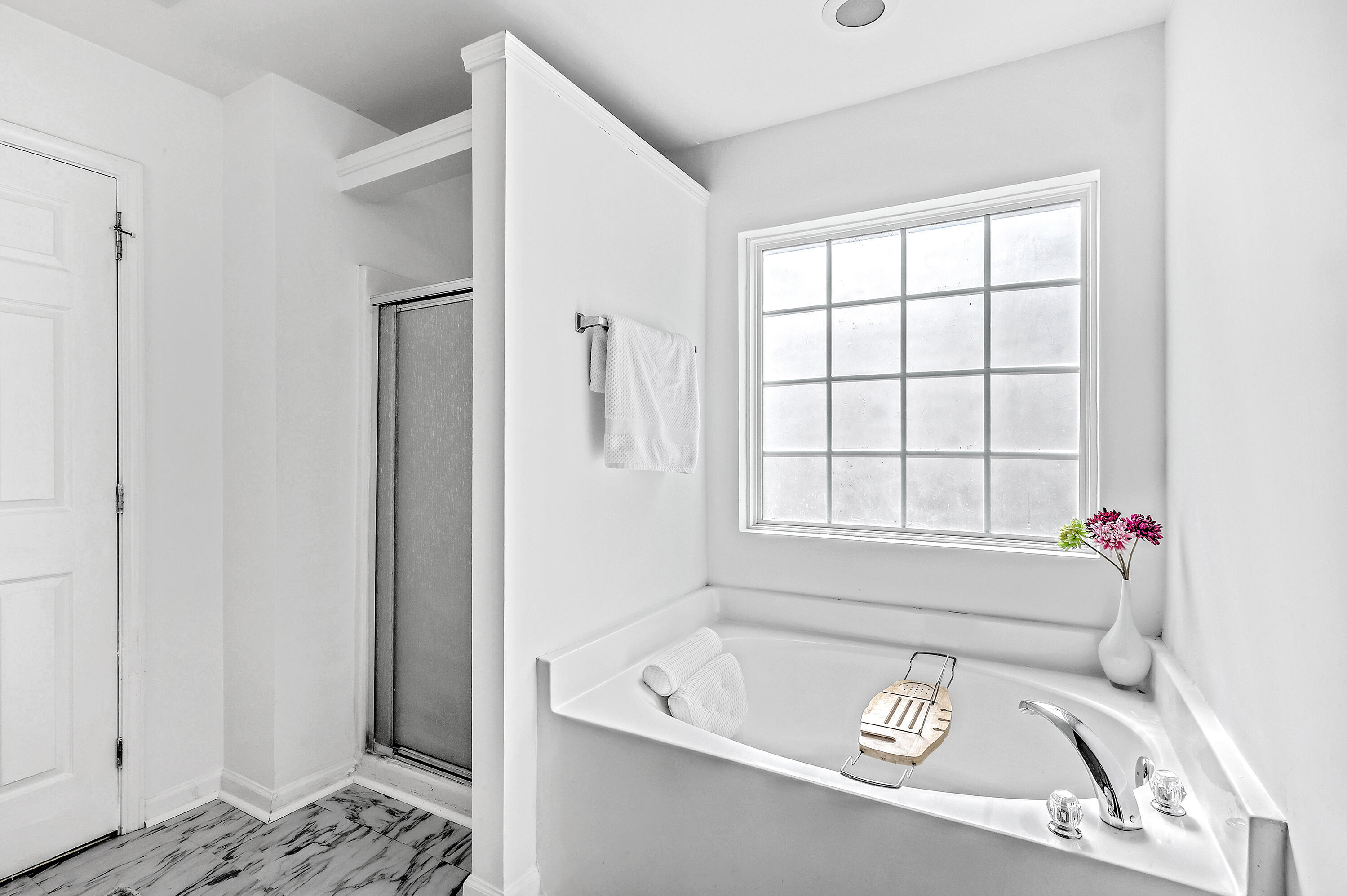 4816 West Red Maple Circle Summerville, SC 29485 - Photo 32 of 60 ZYN_0959_60_61_62_63_64_65 copy