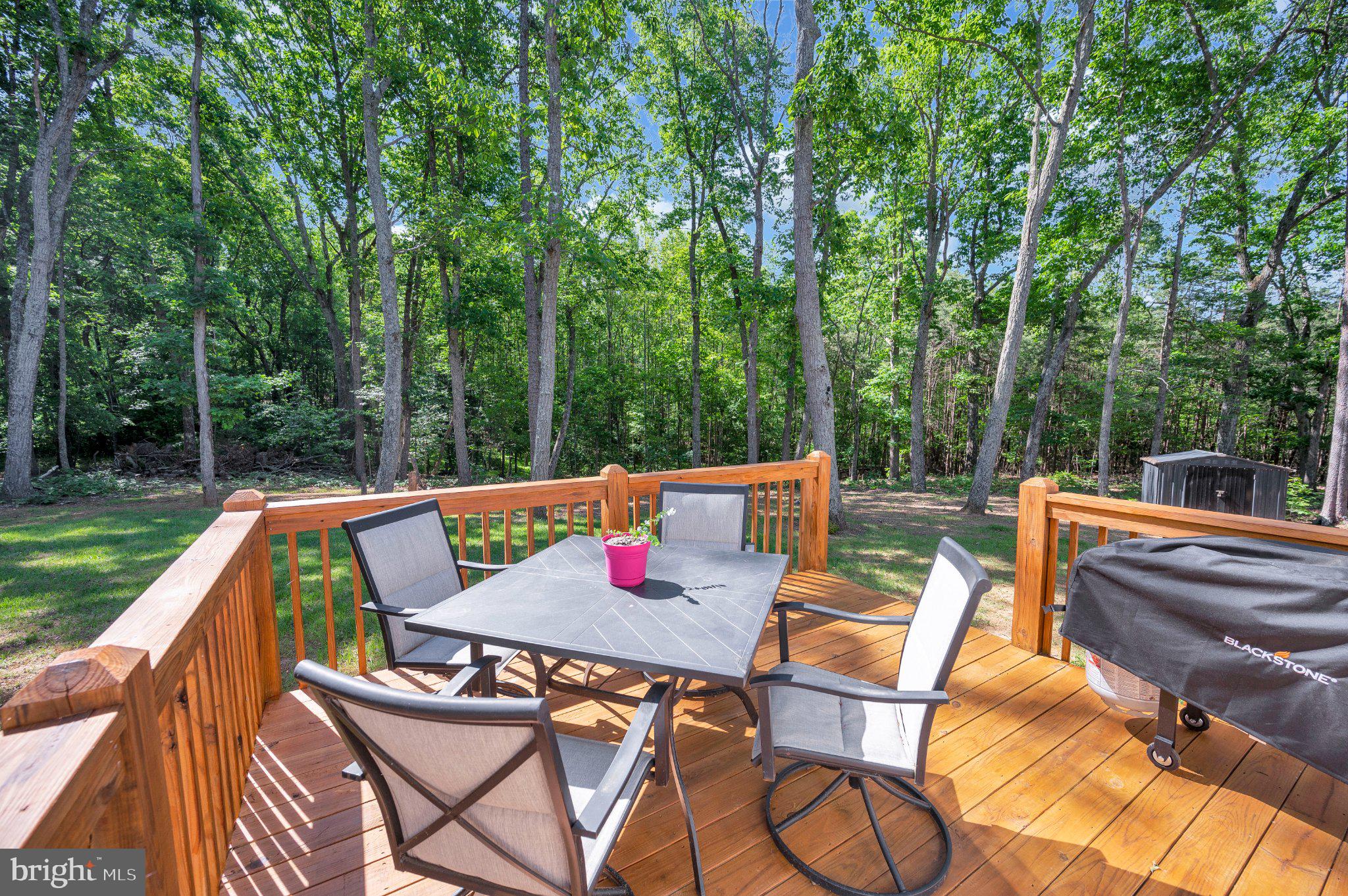28282 Tatum Road Unionville, VA 22567 - Photo 46 of 52 Serene deck nestled in lush greenery.