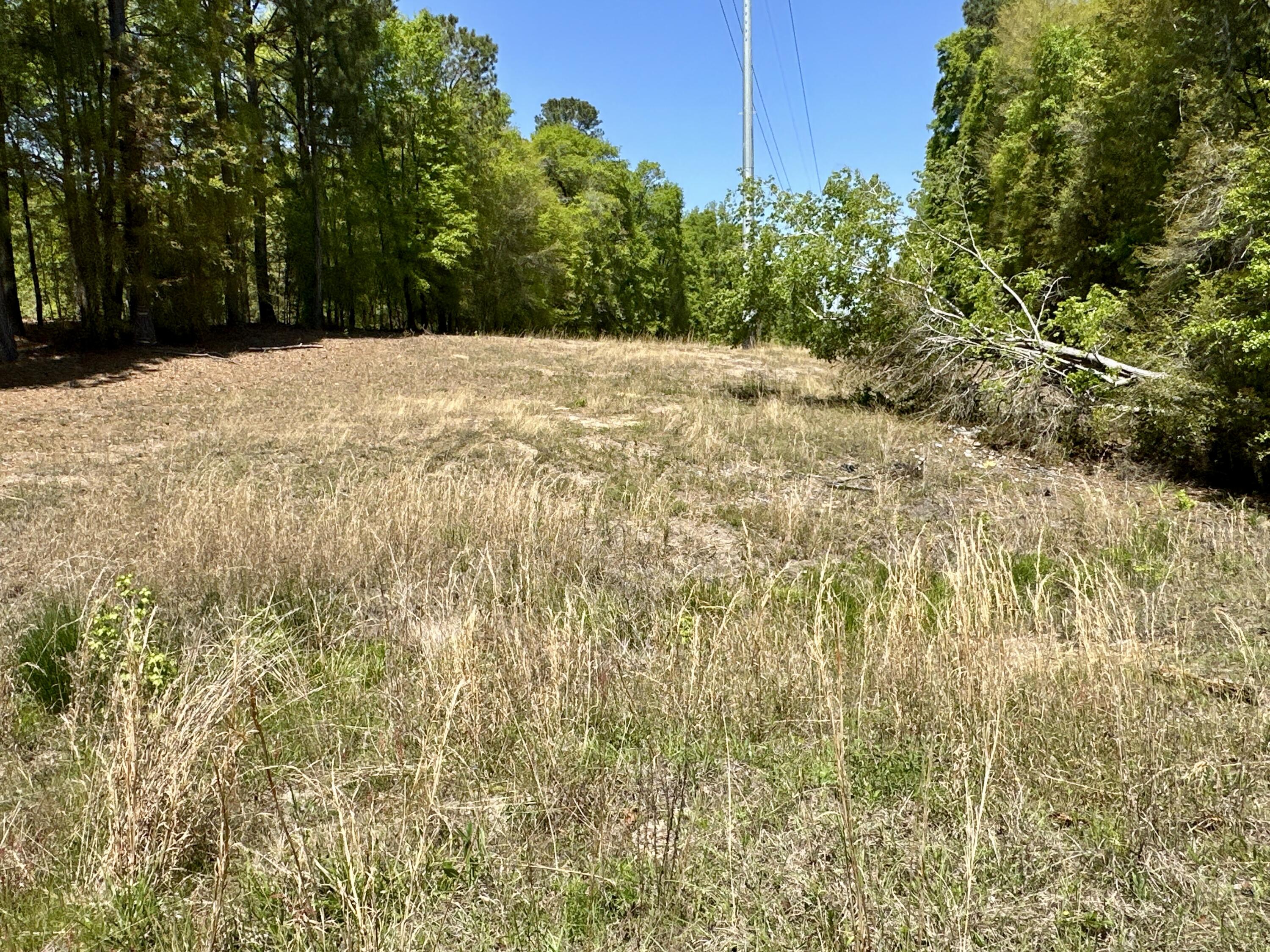 3021 Salley Road Salley, SC 29137 - Photo 45 of 73