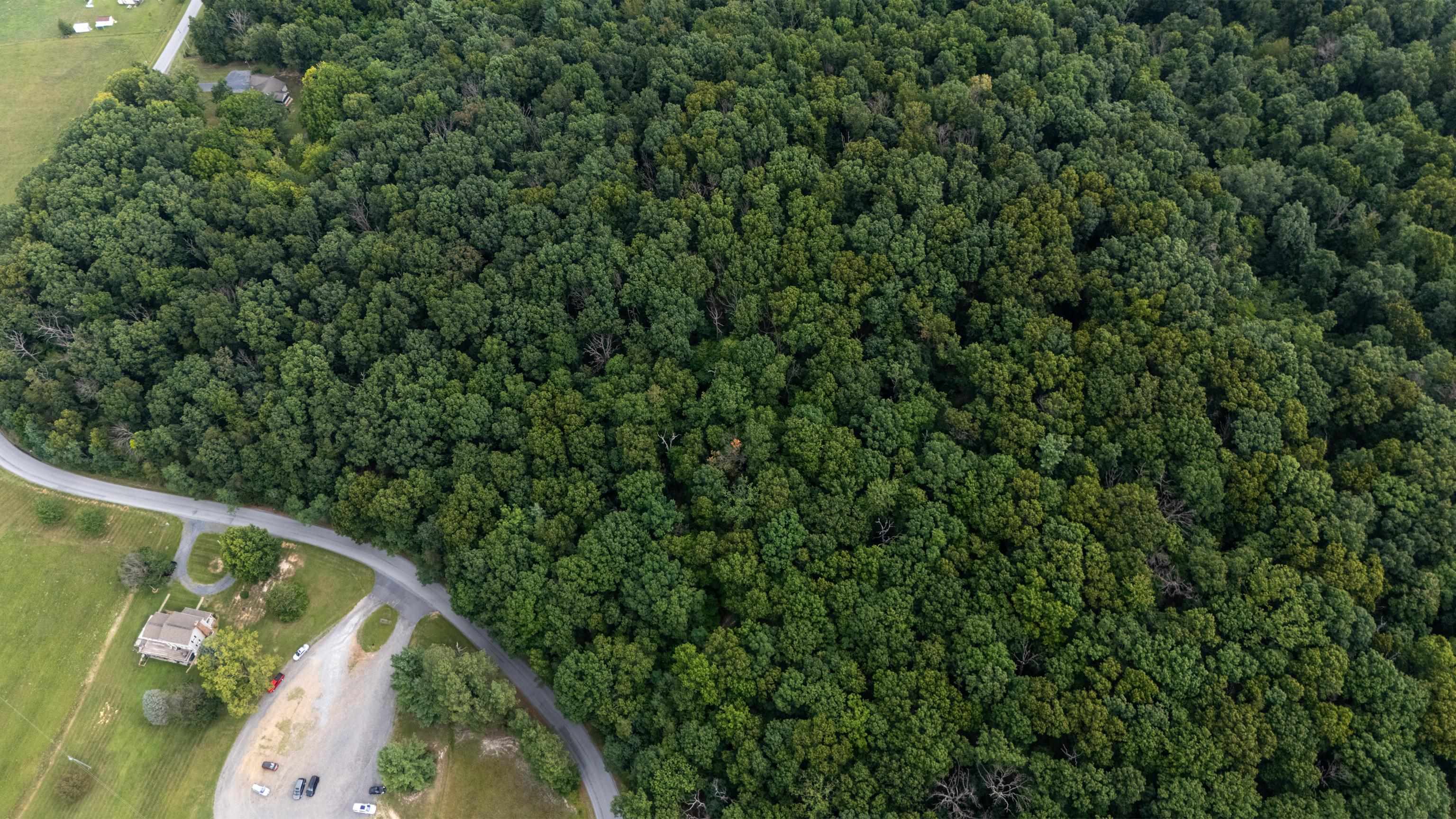 0 Pine Bluff Road Waynesboro, VA 22980 - Photo 18 of 29 Gallery Image 18