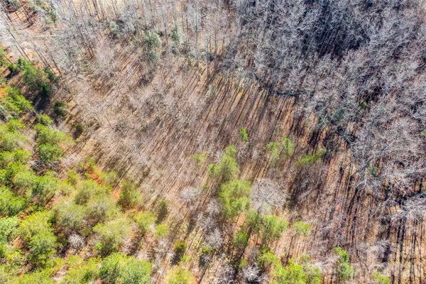 $19,900 | 0 Riding Ring Drive, Unit 12, Ellenboro, NC 28040