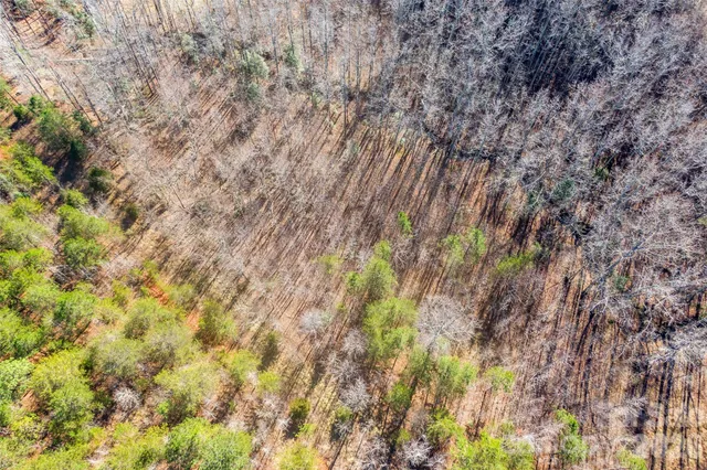 $19,900 | 0 Riding Ring Drive, Unit 12, Ellenboro, NC 28040