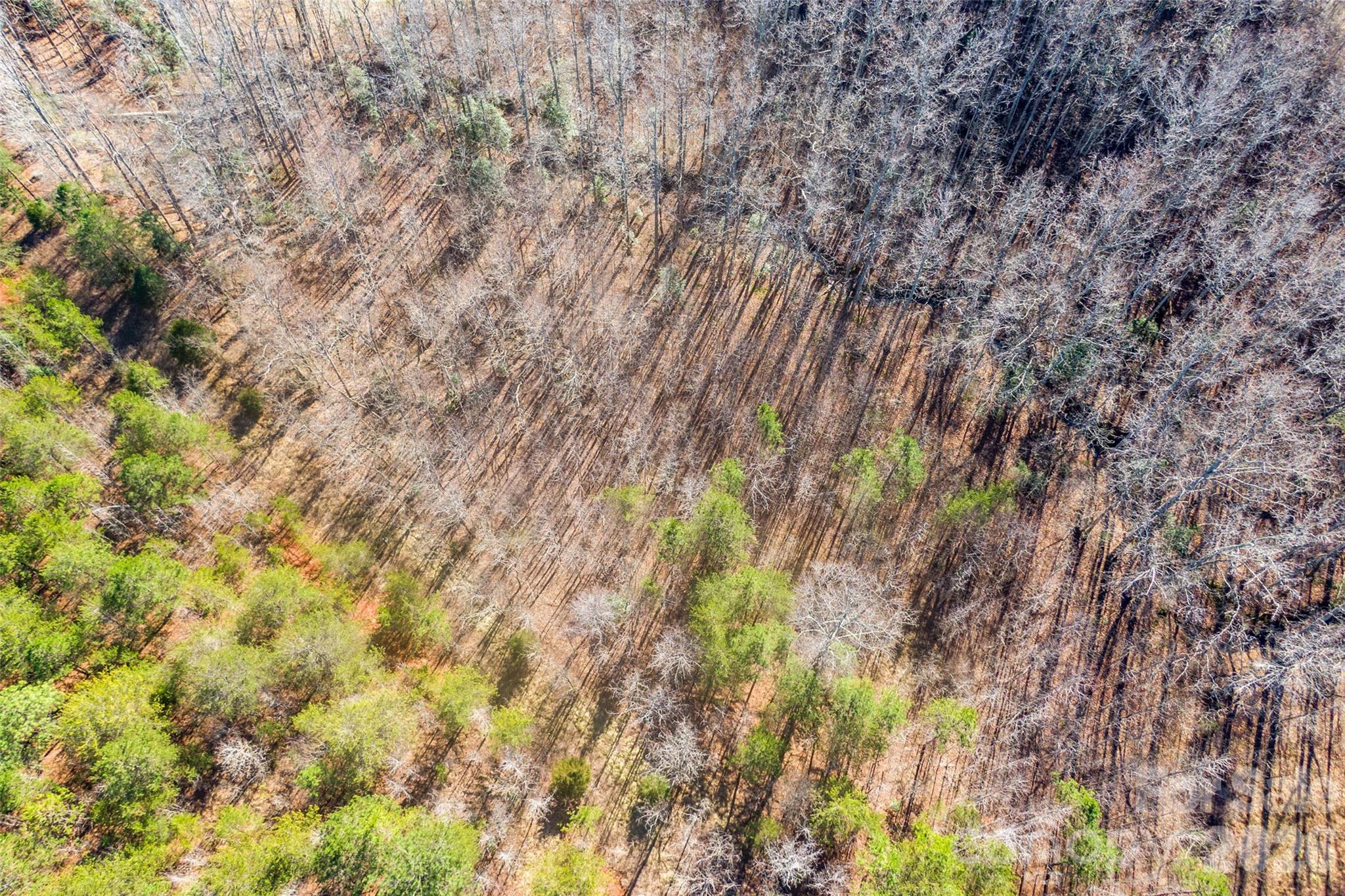 0 Riding Ring Drive, Unit 12 Ellenboro, NC 28040 - Photo 1 of 4