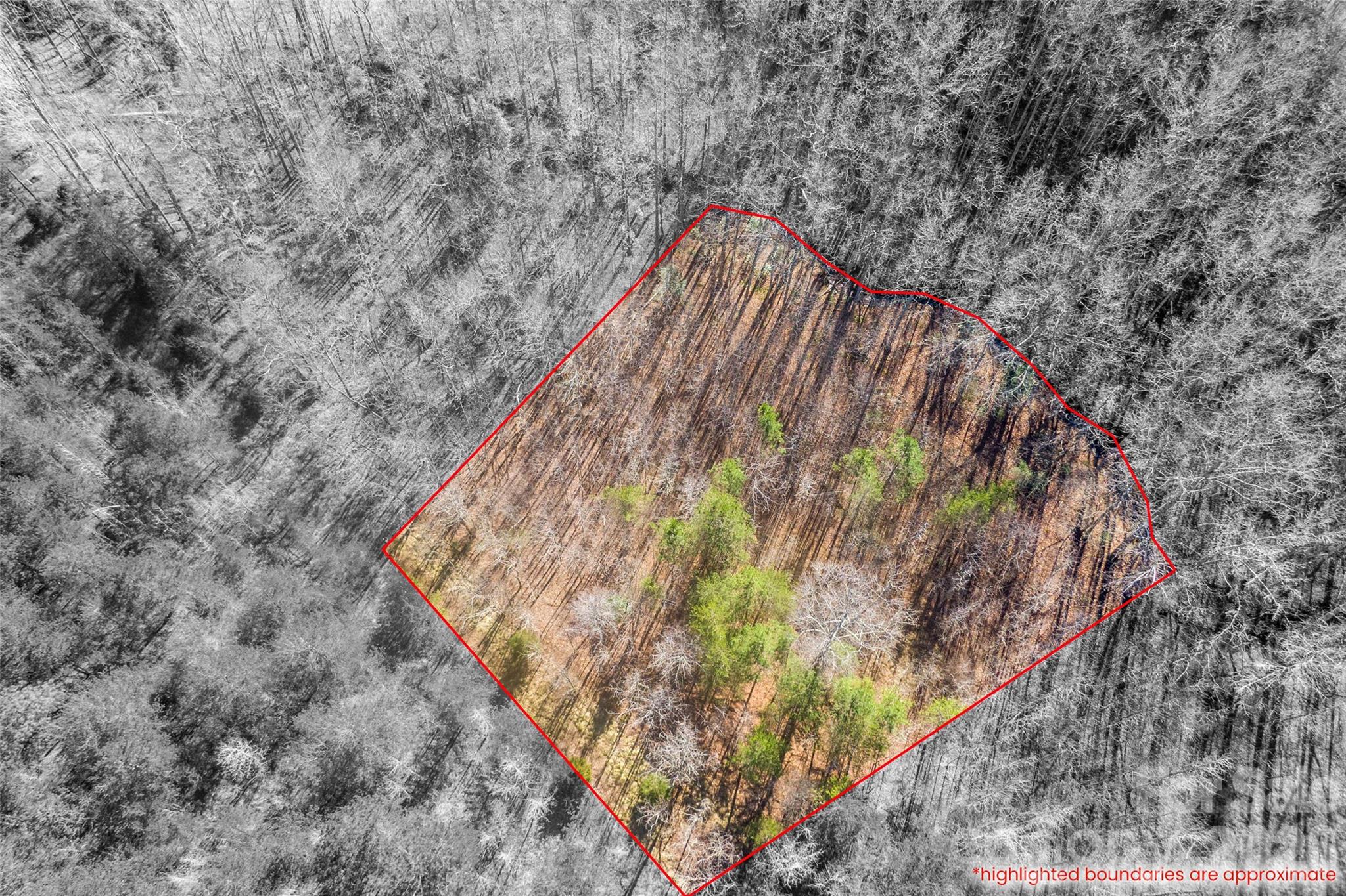 0 Riding Ring Drive, Unit 12 Ellenboro, NC 28040 - Photo 4 of 4