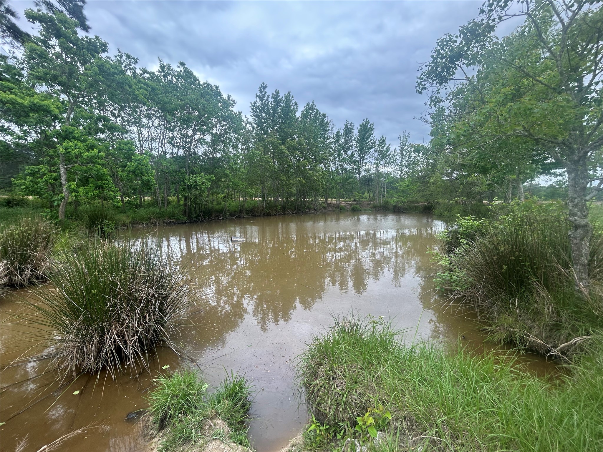 Lot 1 Minnie West Road Hull, TX 77564 - Photo 6 of 16 a view of a lake