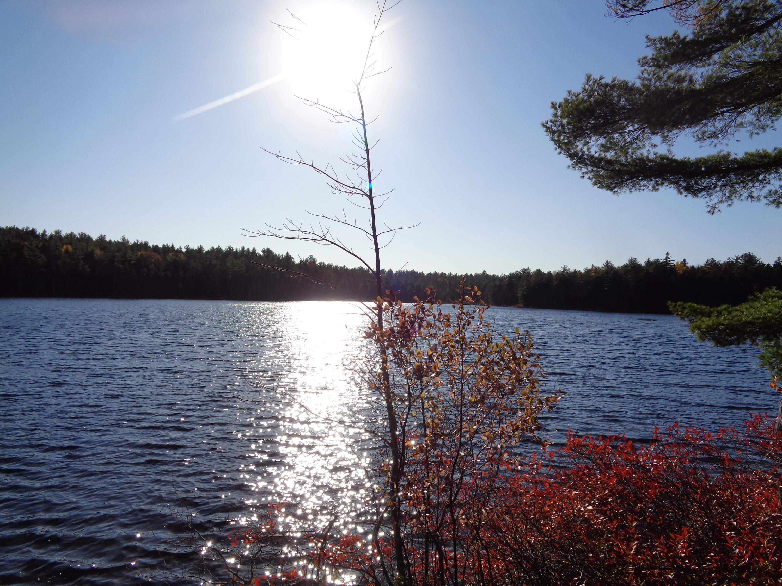 T10 Sd Me 04622 Road Cherryfield, ME 04622 - Photo 2 of 45 Long Pond