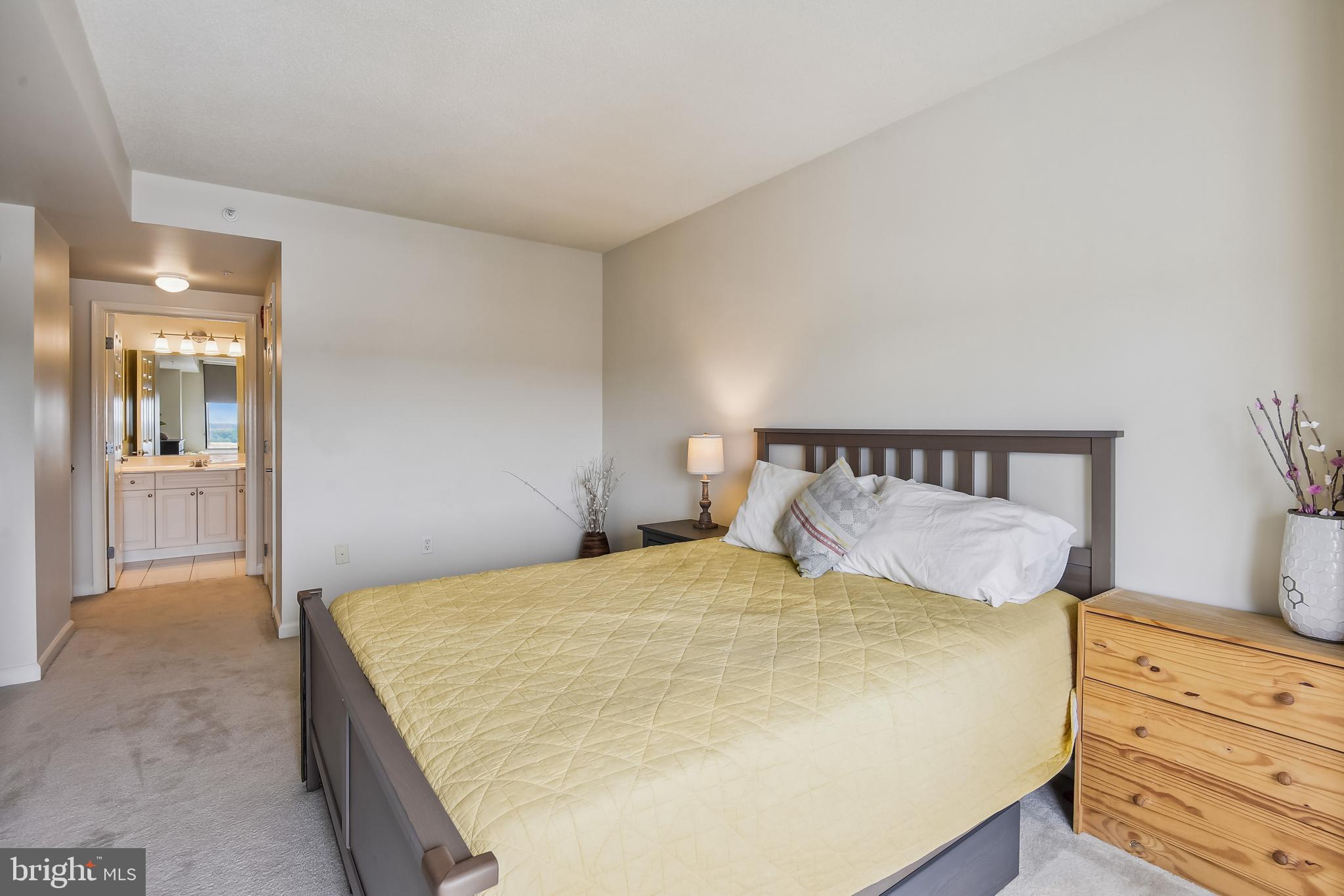 2726 Gallows Road, Unit 1311 Vienna, VA 22180 - Photo 21 of 53
