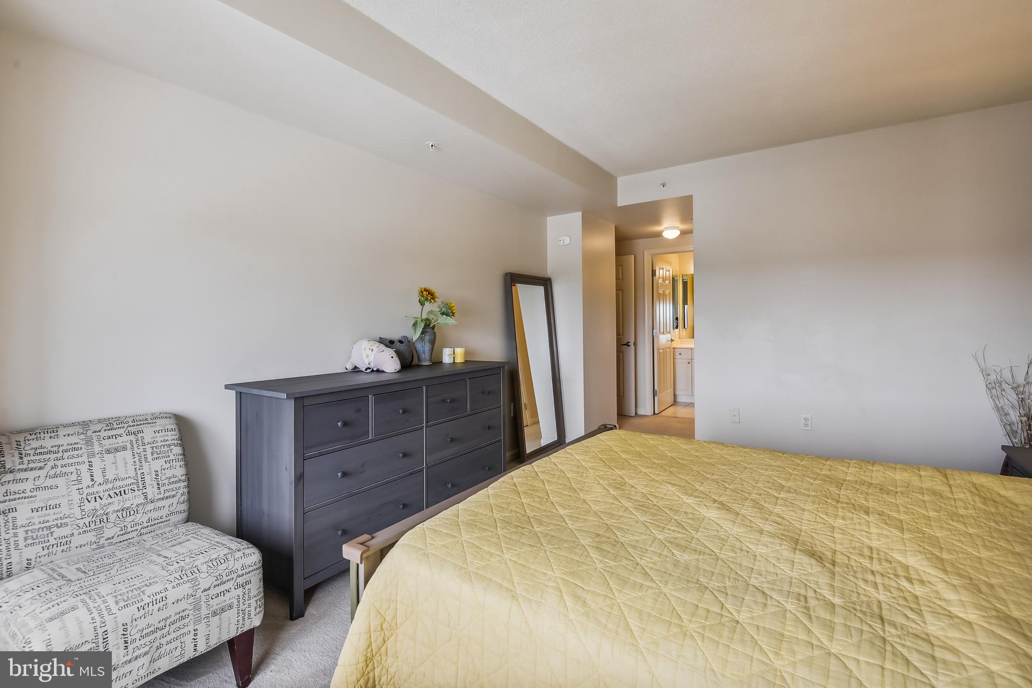 2726 Gallows Road, Unit 1311 Vienna, VA 22180 - Photo 22 of 53