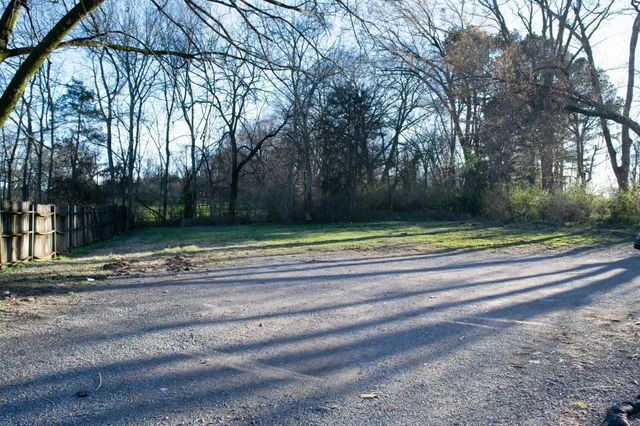 a view of backyard with green space